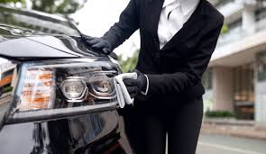 Clean Vehicle